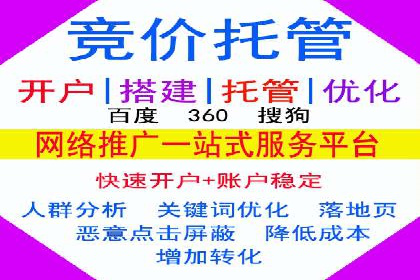 某电商平台的SEM竞价推广实践